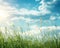 Nature\\\'s Canvas: A Stunning View of a Sun-Kissed Grassland with a Vibrant Sky