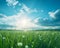 Nature\\\'s Canvas: A Stunning View of a Sun-Kissed Grassland with a Vibrant Sky