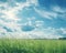 Nature\\\'s Canvas: A Stunning View of a Sunlit Grassland and Sky