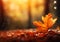 Nature\\\'s Canvas: A Vibrant Closeup of Falling Leaves in the Wood