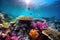 Nature\\\'s Canvas: A Vibrant Coral Reef Captured Through Underwater Photography