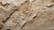 Nature\\\'s Chronicle: Fossilized Limestone Artistry. AI generate