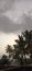 Nature\'s click on cloudy evening