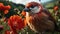 Nature\\\'s Contrast: Red-Bellied Cardinal Perched on a Poppy Flower