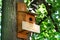 Nature\\\'s Haven: Brown Wooden Birdhouse Providing Shelter in the Forest Park