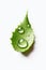 Nature\\\'s Healing Touch: A Drop of Aloe Vera Gel with Sliced Aloe Vera (AI Generated)