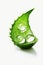 Nature\\\'s Healing Touch: A Drop of Aloe Vera Gel with Sliced Aloe Vera (AI Generated)