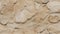 Nature\\\'s Heritage: Fossilized Limestone Visual Chronicle. AI generate