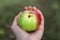 Nature\\\'s Imperfection: A Close-Up of a Damaged Apple with a Story to Tell