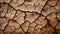 Nature\\\'s Intricate Canvas: Close-up of Cracked Fine-Grained Soil