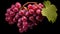 Nature\\\'s Jewels: Closeup of Grapes Isolated on Black Background