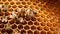 Nature\\\'s Masterpiece beauty of a hexagonal honeycomb