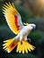 Nature s Palette Captivating Colors of a Majestic Cockatoo in Flight.AI Generated