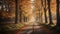 Nature\\\'s Palette Drive: Autumn\\\'s Captivating Roadway