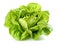 Nature\\\'s Refreshment: Fresh Lettuce Shines on a Clean White Canvas