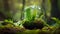 Nature\\\'s Refuge: Terrarium Sanctuary Preserving Life with Raindrop Embrace (AI-Generated)