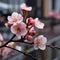 Nature\\\'s Resplendence: Rain-Kissed Pink Blossoms