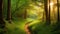 Nature\\\'s Sanctuary: Serene Forest Photography..