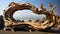 Nature\\\'s Sculpture: The Captivating Driftwood Art