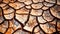 Nature\\\'s Secrets Unveiled: Close-up of Cracked Fine-Grained Soil