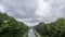 Nature's Serenity: Canal Amidst Verdant Forest