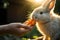 Nature\\\'s snack: rabbit enjoying fresh carrot