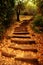 Nature\'s Staircase