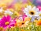 Nature\\\'s Summer Symphony: Stunning Floral Artwork for Sale