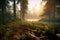 Nature\\\'s Symphony: Captivating Vistas of Forests and Wildlife
