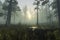 Nature\\\'s Symphony: Captivating Vistas of Forests and Wildlife