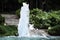 Nature\\\'s Symphony: Splashing Water in the Fountain