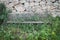 Nature`s Takeover: Abandoned Bench in a Natural Setting