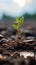 Nature\\\'s tenacity A weed sprout breaks through dry ground during rainfall