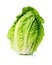 Nature\\\'s Treasure: Fresh Baby Cos Romaine Lettuce on a Clean White Canvas