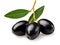 Nature\\\'s Treasures: Isolated Black Olives on a Branch with Leaves - A Taste of Authenticity