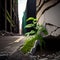 Nature\\\'s Triumph: Urban Green Growth and Resilience