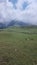 Nature\'s view of sky, cloud, green meadows & cows at hillstation namely Paye, location in Pakistan