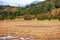 Nature saltmarsh in Tivat