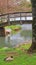 Nature Scene Beautiful Bridge over a River Pink Flower Tree, Waterfall and Brown Duck