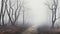 nature scene fog panorama foggy