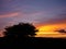 Nature scene with spectacular colorful sky and a tree silhouette. Rich warm and cool tone