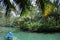 Nature scenery summer landscape river water coconut tress