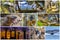 Nature,scenery,wildlife animals of Madagascar  - collage set