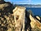 Nature, sea, splendid landscape and cutted trunk in Genoa province, Liguria region, Italy