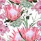 Nature seamless pattern. Hand drawn tropical summer background: succulent, herbs and pink protea, orchid flowers.