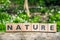 Nature sign on a wooden branch