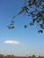Nature sky blue tree cloud