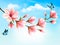 Nature spring background with beautiful magnolia branches
