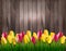 Nature spring background with colorful tulips on wooden sign.