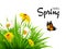 Nature spring background with grass, flowers and butterflies.